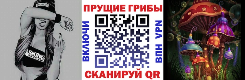 Псилоцибиновые грибы Magic Shrooms  Нелидово 